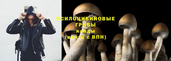 наркотики Аркадак