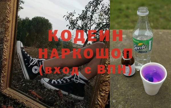 стаф Арсеньев