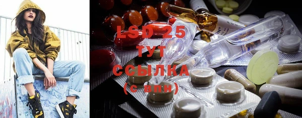 стаф Арсеньев