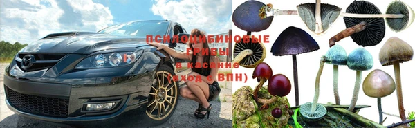 ECSTASY Армянск