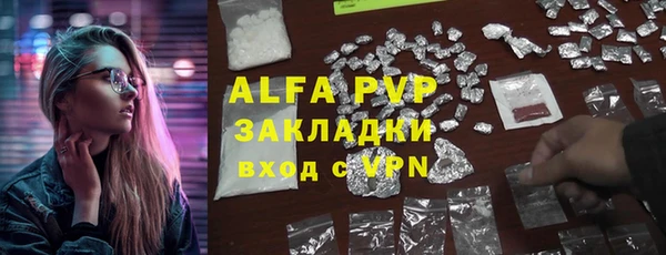 стаф Арсеньев